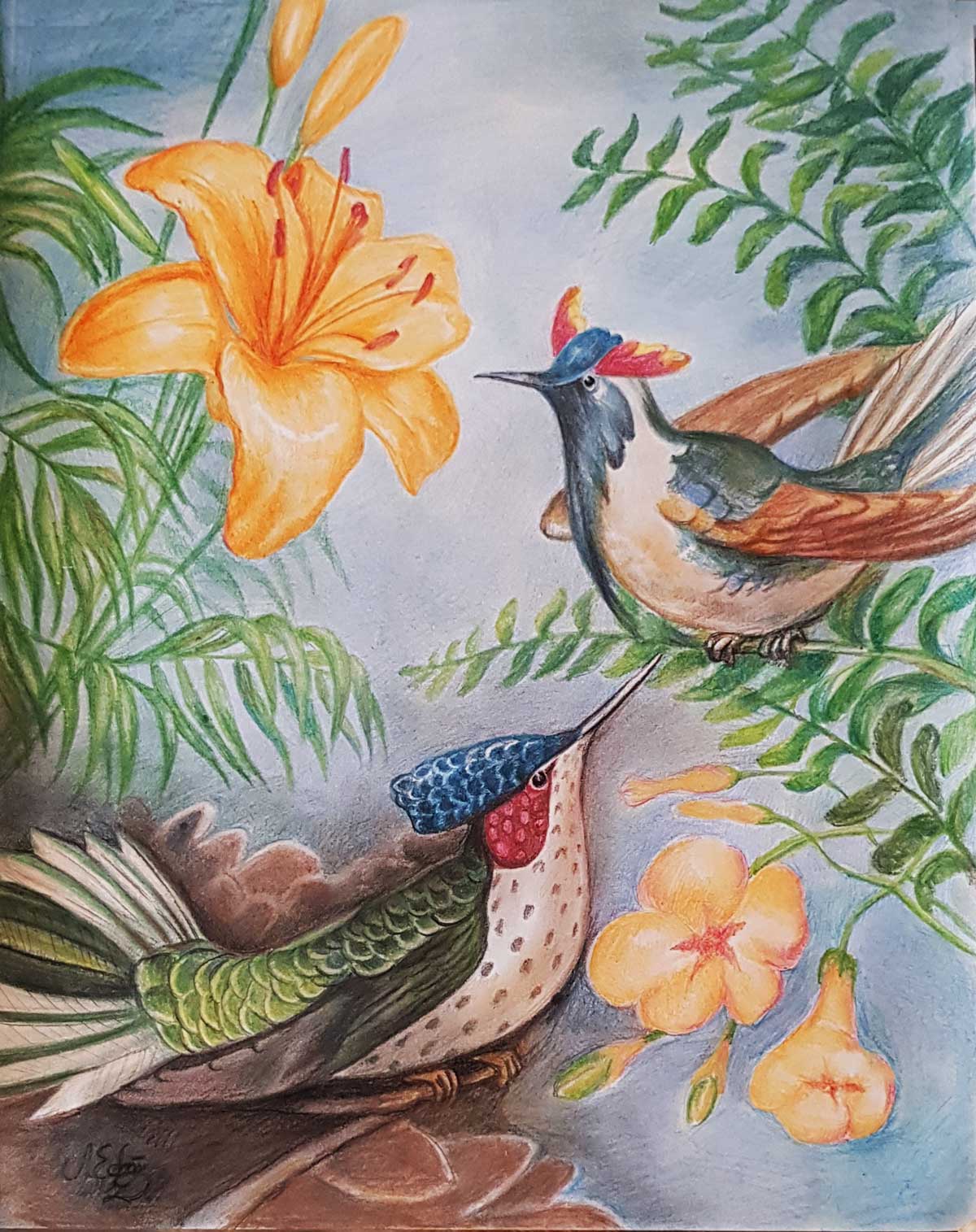 Рисунка на екзотични птици